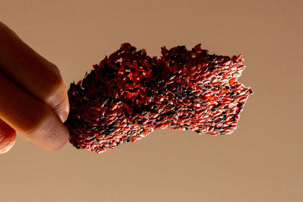 Flax cracker recipe by Meredith Baird Figone