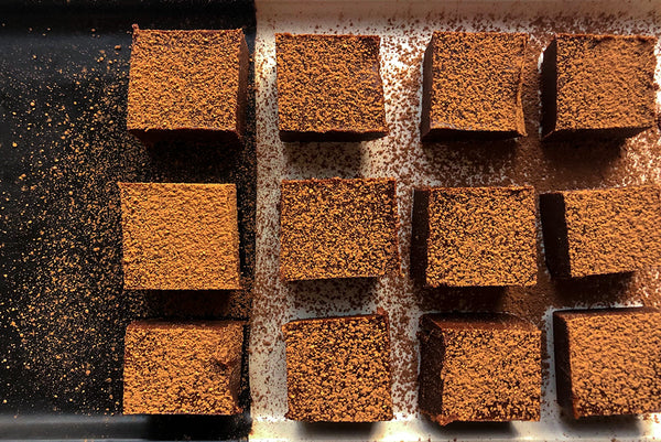 LOVE BITES // Raw fudge with Manuka honey