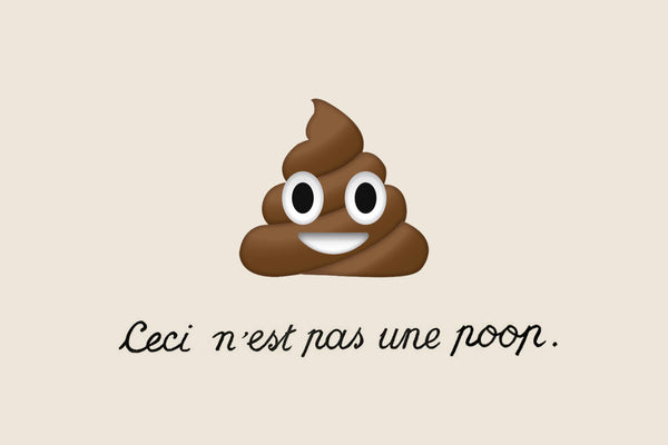 THE SCOOP ON POOP // The beauty in your routine